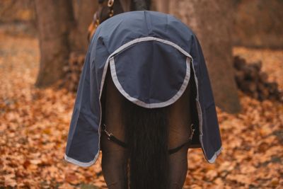 Image showing  Atlas Turnout Sheet 600 Denier