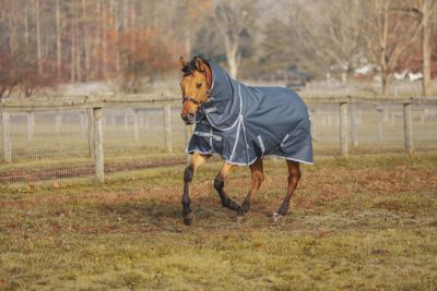 Image showing  Boreas Ink Blue Turnout Sheet 1200 Denier