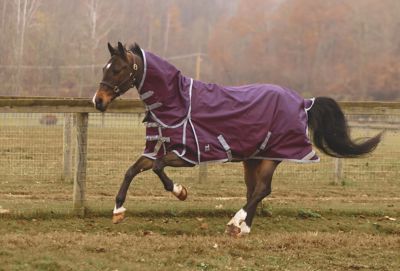 Image showing  Boreas Purple Turnout Sheet 1200 Denier & Reflective Stripes