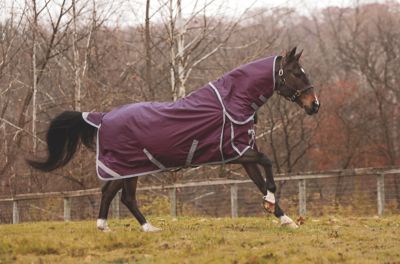 Image showing  Boreas Purple Turnout Sheet 1200 Denier & Reflective Stripes