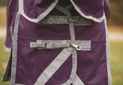 Image showing  Boreas Purple Turnout Sheet 1200 Denier & Reflective Stripes
