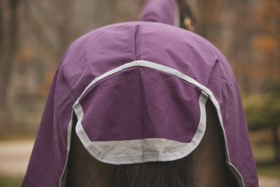 Image showing  Boreas Purple Turnout Sheet 1200 Denier & Reflective Stripes