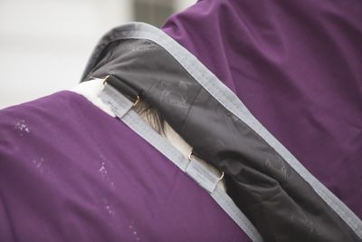 Image showing  Boreas Purple Turnout Blanket 1200 Denier with 260gm Lining & Reflective Stripes