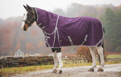 Jacks Heritage Collection Boreas Purple Turnout Blanket 1200 Denier with 260gm Lining & Reflective Stripes
