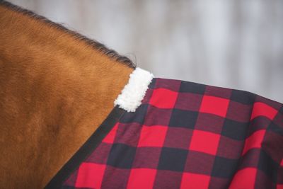 Image showing  Kratos Turnout Sheet 1200 Denier Red Buffalo