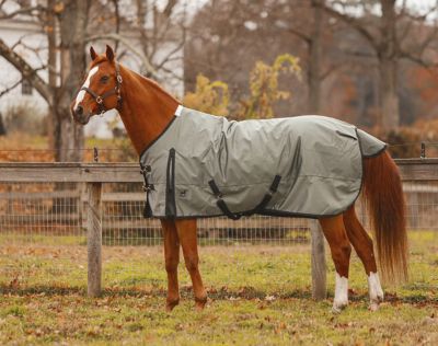 Jacks Heritage Collection Zeus Turnout Blanket 1680 Denier with 260gm Lining 74 in.