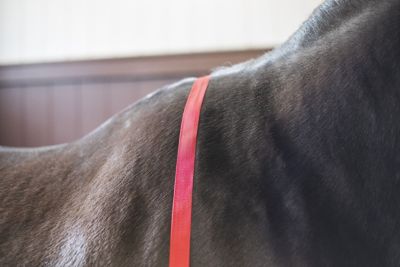 Image showing  Cordura Ice Boots Black