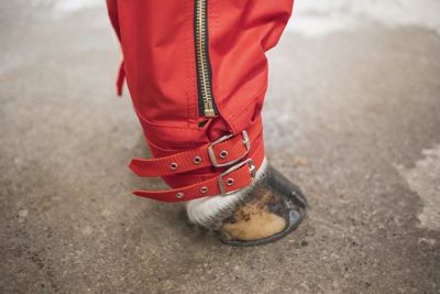 Image showing  Cordura Ice Boots Forest