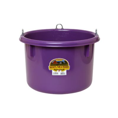 Product color Purple