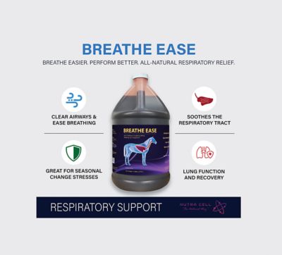 Image showing  Breathe Ease Gallon