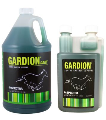 Image showing  Gardion Equine Gastric Support QT