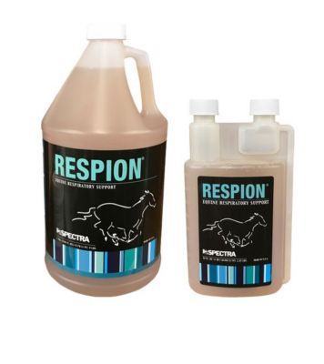 Image showing  Respion Equine Respiratory Support Gallon