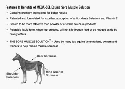 Image showing  Mega-Sel Equine Sore Muscle Solution