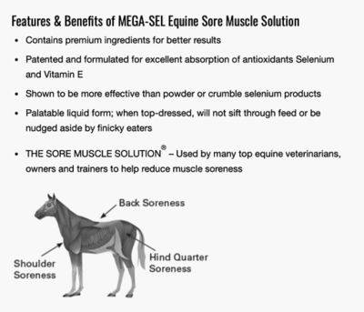 Image showing  Mega-Sel Equine Sore Muscle Solution