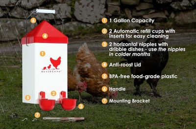 Image showing  1 gal. Chicken Waterer with Autofill Cups and Horizontal Nipples