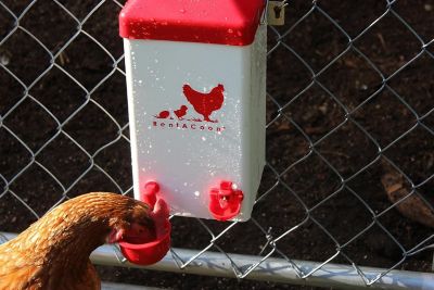 Image showing  1 gal. Chicken Waterer with Autofill Cups and Horizontal Nipples