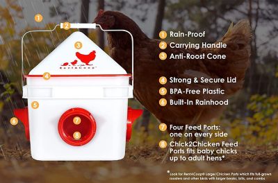 Image showing  10 lb. Chick2Chicken Medium Port Chicken Feeder