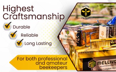 Image showing  Bee Smoker