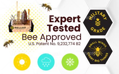 Image showing  Beehive Frame Perch