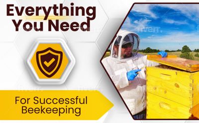 Image showing  Soft Bee Brush