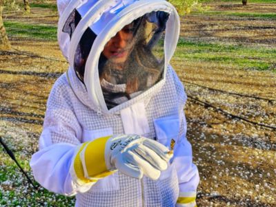Image showing  Vented Beekeeping Gloves