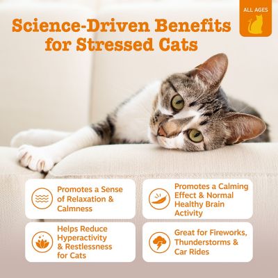 Image showing  Calming Mousse Cat Supplement, Chicken Flavor