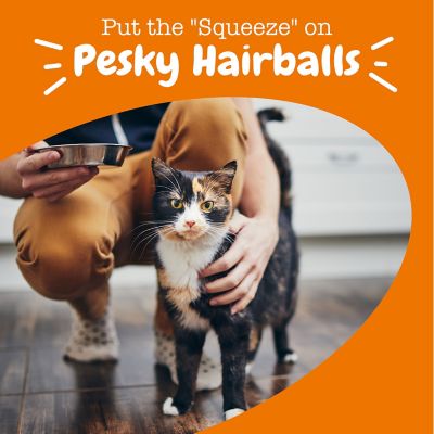 Image showing  Hairball Mousse Cat Supplement, Chicken Flavor