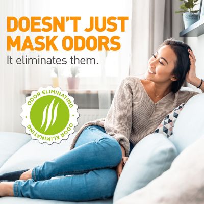 Image showing 6 th Wet & Forget 16.9 oz. Bathroom Disinfecting Cleaner - Citrus Scent