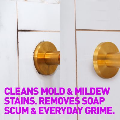 Image showing 5 th Wet & Forget 16.9 oz. Mold and Mildew Cleaner