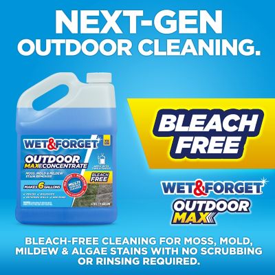 Image showing 6 th Wet & Forget 128 oz. Outdoor Concentrate Moss, Mold, Mildew and Algae Stain Remover