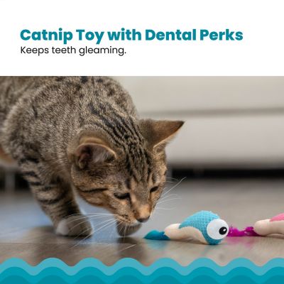 Image showing  Dental Shrimpies Cat Toy, Multi 4 pk.