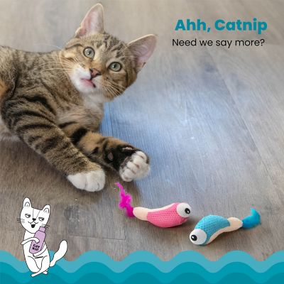 Image showing  Dental Shrimpies Cat Toy, Multi 4 pk.