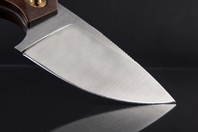 Image showing  3 in. BAD BOY Fixed Blade Knife, Walnut