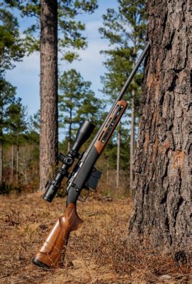 Image showing  MERICA Bolt Action Stocks, SH.GNS051.13