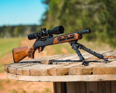 Image showing  MERICA Bolt Action Stocks, SH.GNS051.14