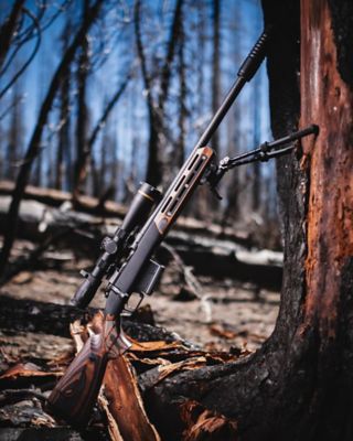 Image showing  MERICA Bolt Action Stocks, SH.GNS052.05