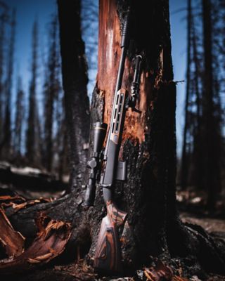 Image showing  MERICA Bolt Action Stocks, SH.GNS052.09