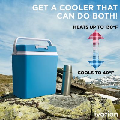 Image showing  24 L Portable Electric Cooler & Warmer, Thermoelectric, 12V