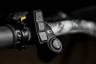 Image showing  MEGATRON 4.0 - TT Viper Western, 20Ah