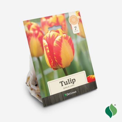 Image showing  Tulip Banja Luka, 7 pk.