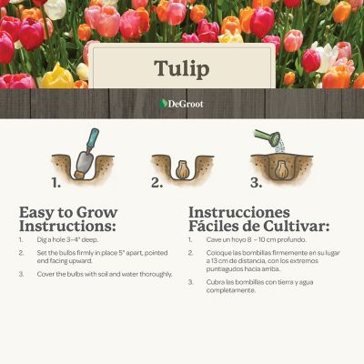 Image showing  Tulip Banja Luka, 7 pk.