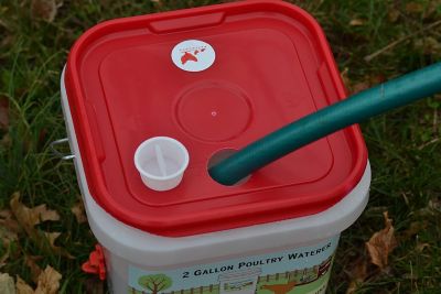 Image showing  2 gal. Center Chicken Waterer with 4 Horizontal Nipples