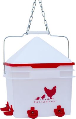 RentACoop 2 gal. Chicken Waterer with 4 Horizontal Nipples, Corner