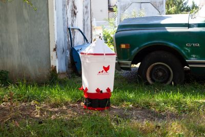 Image showing RentACoop 5 gal. Corner Chicken Waterer with 4 Horizontal Nipples