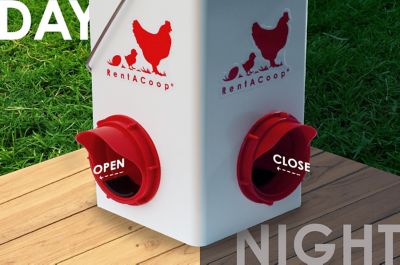 Image showing  5 lb. Chick2Chicken Medium Port Chicken Feeder