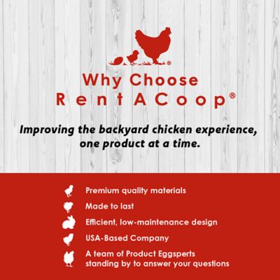 Image showing 5 th RentACoop 5 lb. Chick2Chicken Medium Port Chicken Feeder
