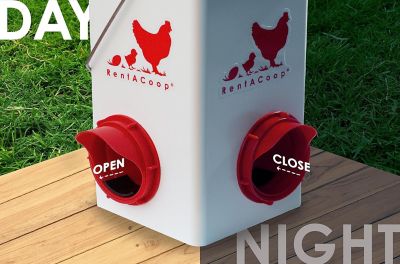 Image showing  5 lb. Chick2Chicken Port Chicken Feeder and 1 gal. Waterer Set