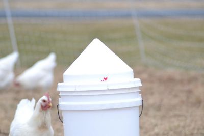 Image showing  Anti-Roost Cone for Round 5 Gal Buckets