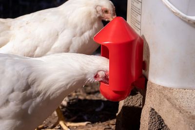 Image showing  DIY Anti-Dirt Cover for Autofill Cups - Pack of 6