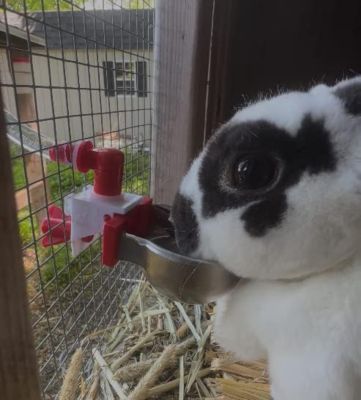 Image showing  DIY Metal Autofill Cups with Cage Clips, 2 pk.
